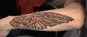 Tattoo of a large, realistic feathered bird wing spanning the length of a person’s forearm. The wing is detailed with intricate shading and texture to create a lifelike three-dimensional effect, showing layered feathers in various sizes and shapes.